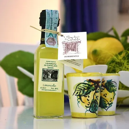 Casa vacanze Lemons View *