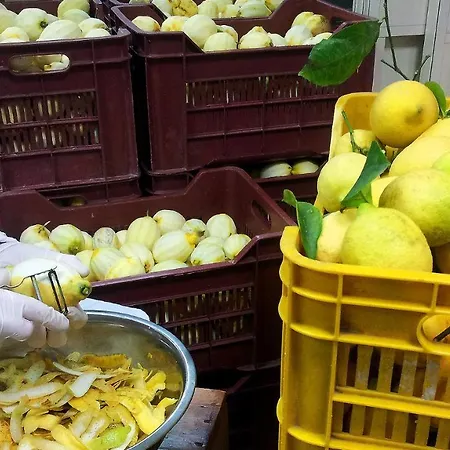 Lemons View Sorrento