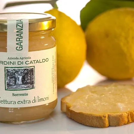 Lemons View Sorrento