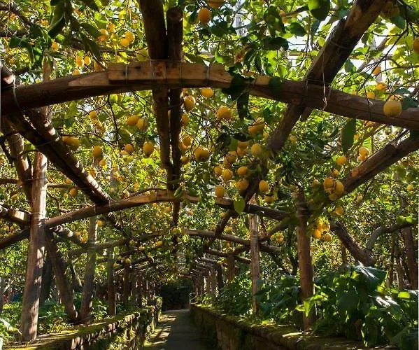 Σπίτι διακοπών I Giardini Di Cataldo *